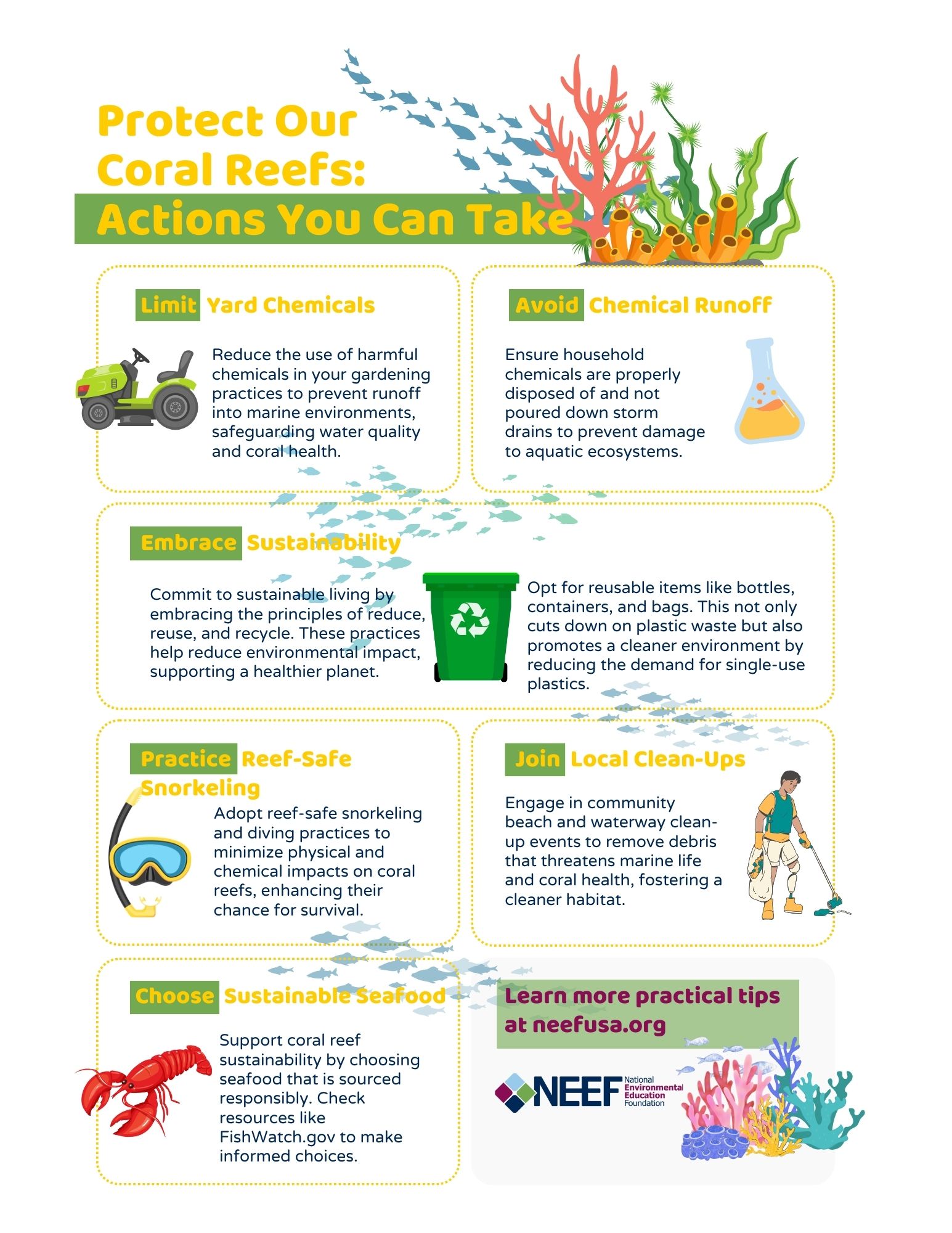 a-warming-ocean-the-national-environmental-education-foundation-neef